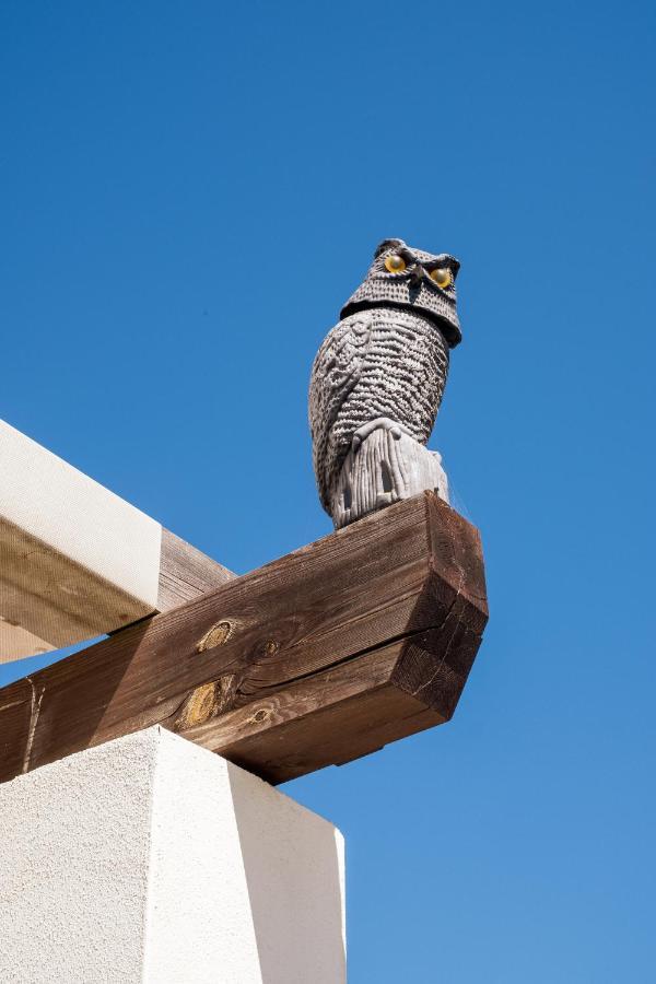 Historical City Center Penthouse Albufeira Exterior foto